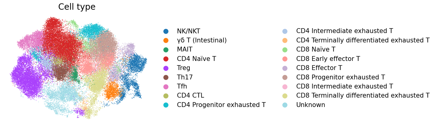 Final cell type annotation UMAP