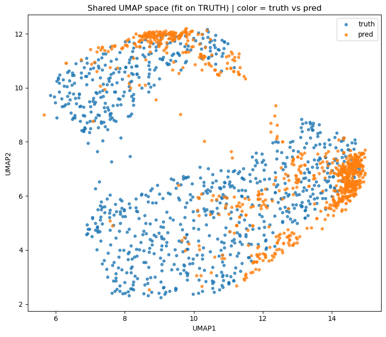 UMAP: fine-tuned model prediction vs truth