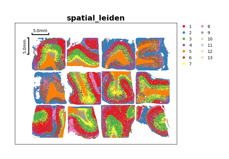 Spatial Leiden clustering across mouse spleen samples