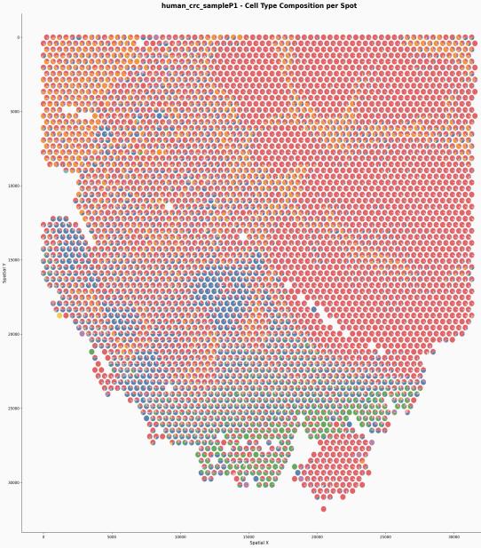 Cell type composition per spot