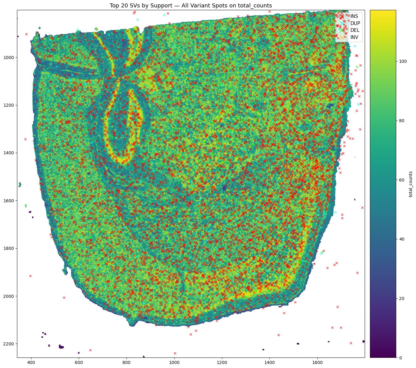 Spatial distribution of top structural variants